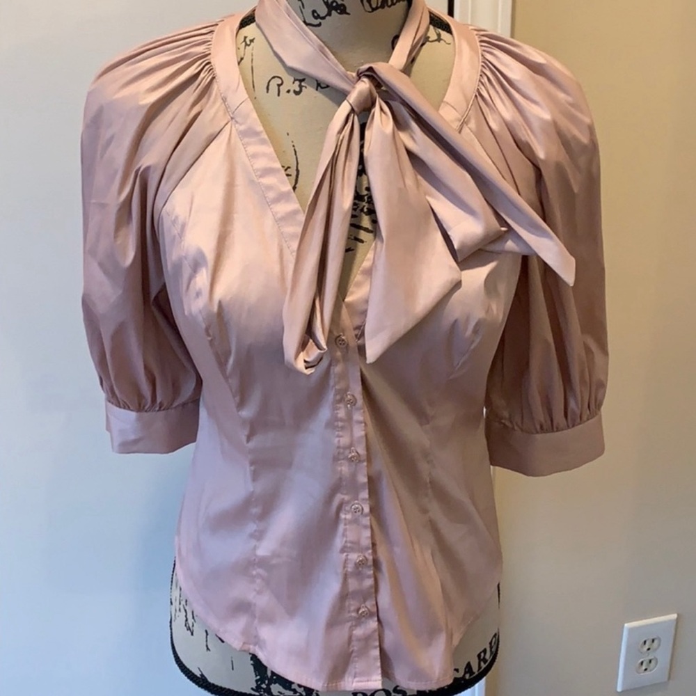 Pale pink organza Bebe shirt.